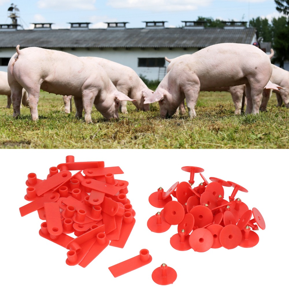 Livestock Ear Tag - 100 étiquettes d'oreille vierges en PP