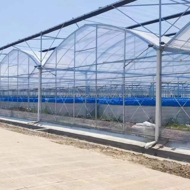 Bâche de bassin à poissons en  - Farm Pond Liner avis et prix