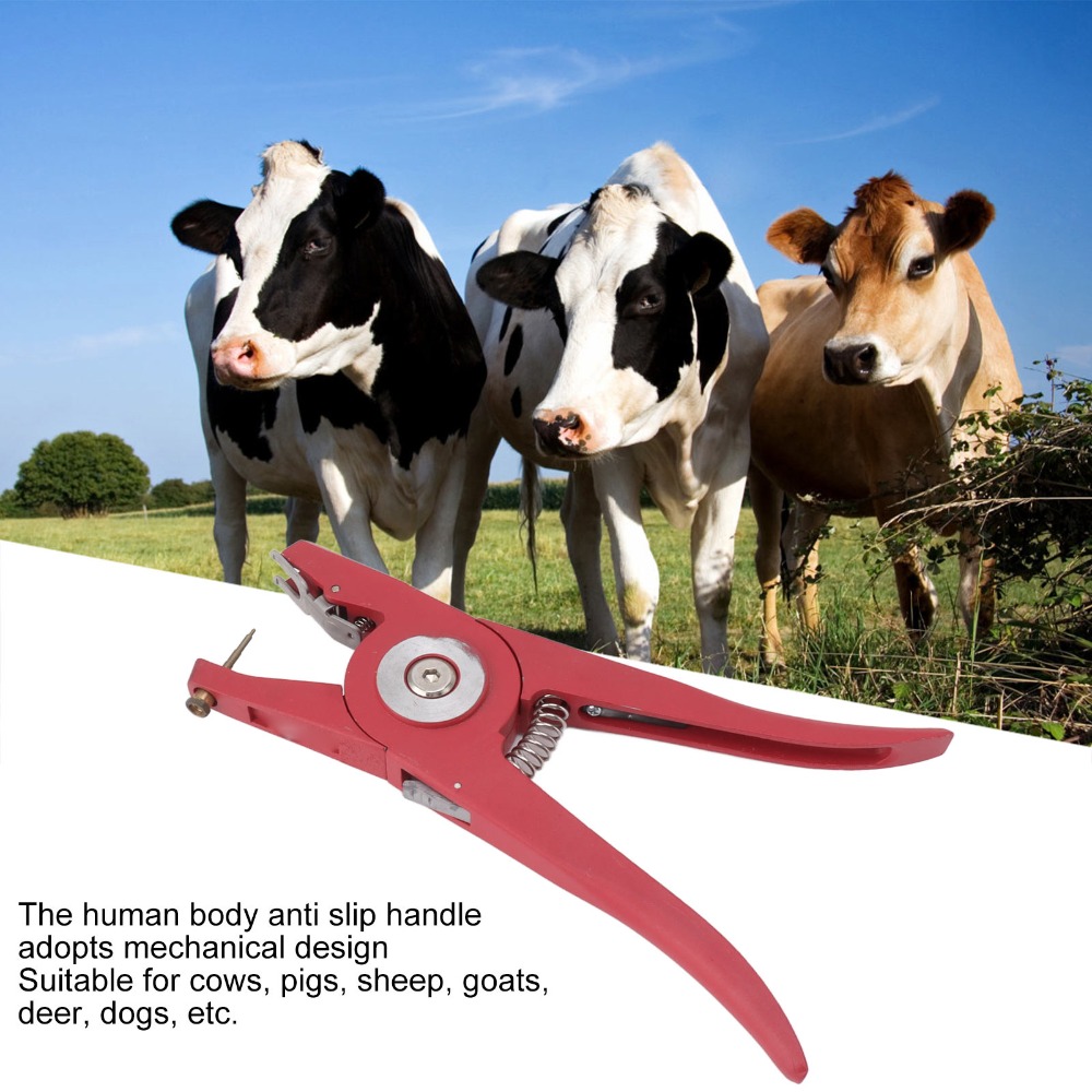 Pince à étiquettes d'oreille e - Livestock Ear Tag avis et prix