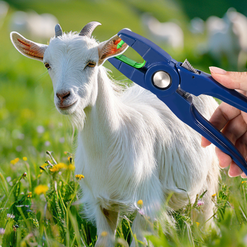 100 pièces étiquette d'oreille - Livestock Ear Tag avis et prix