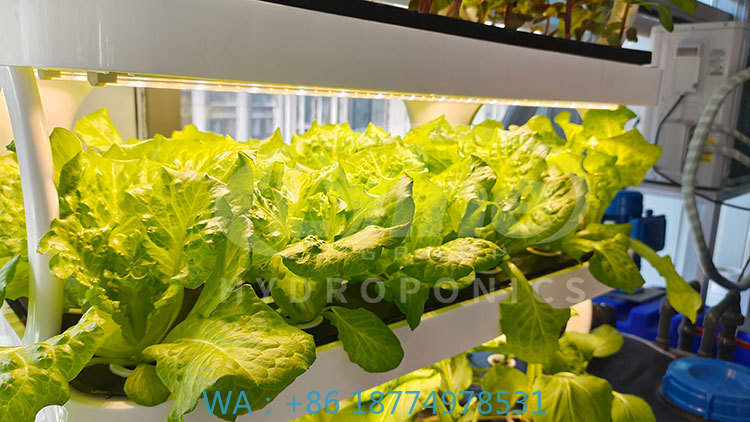 c Machine agricole pour cultiv - Agriculture Farming Equipments avis et prix