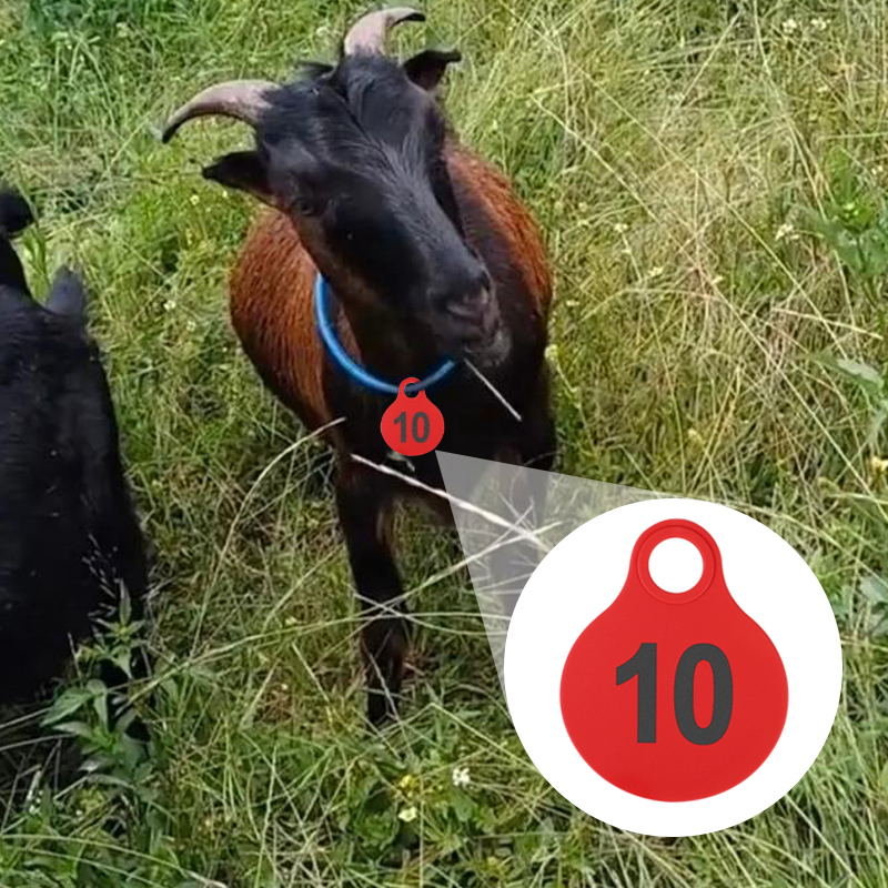 001-100 étiquettes suspendues  - Livestock Ear Tag avis et prix