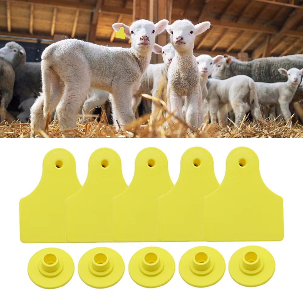 20 étiquettes d'oreille vierge - Livestock Ear Tag avis et prix