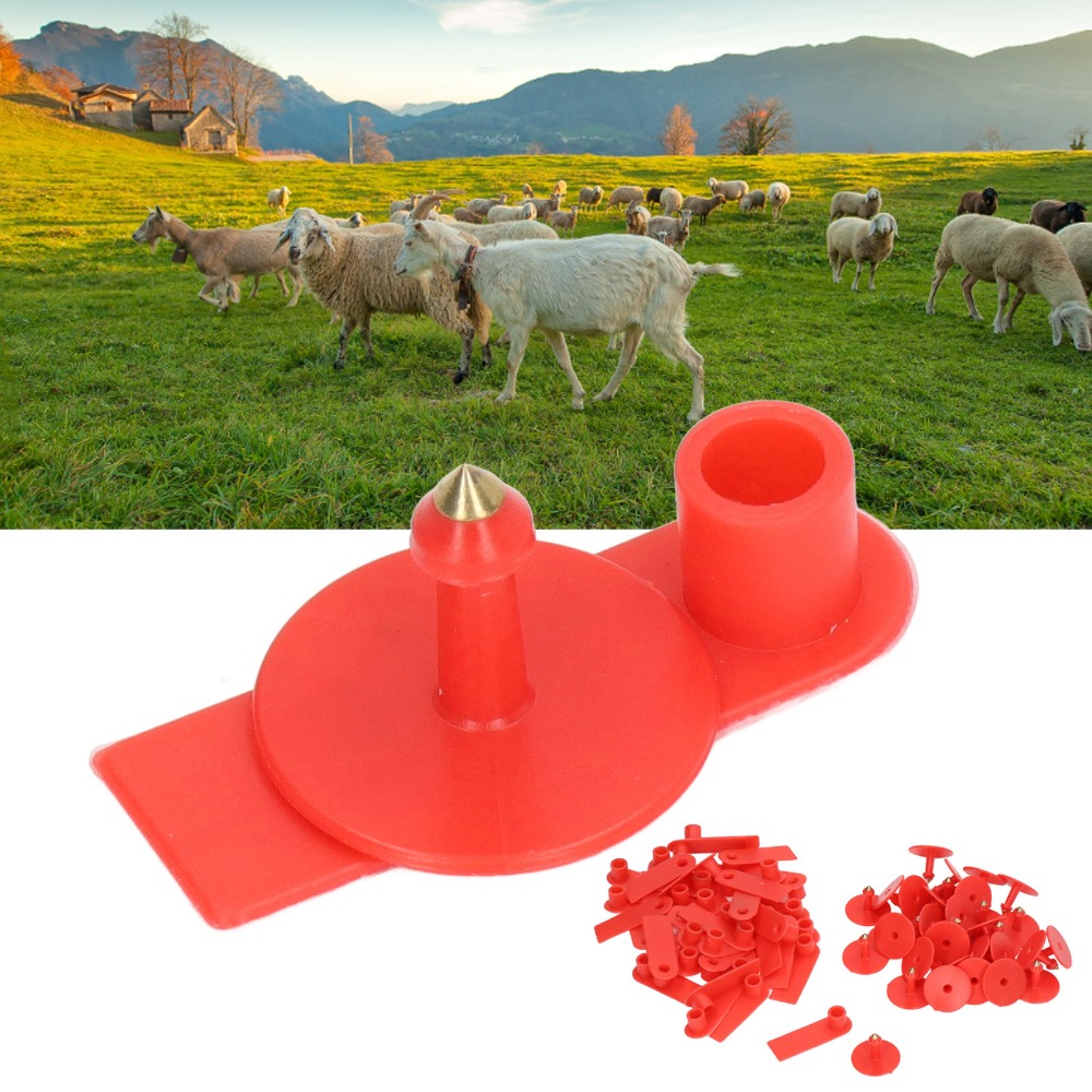 100 étiquettes d'oreille vierg - Livestock Ear Tag avis et prix