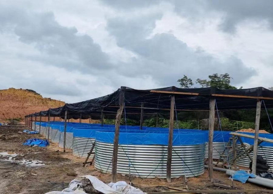 Bâche en PVC imperméable AIROW - Farm Pond Liner avis et prix